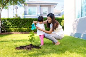 Gardening